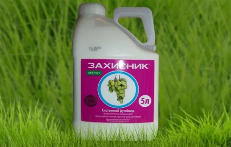 Фунгіцид Захисник 5л аналог Топсин М (д.р.Тіофанат-метил, 500 г/л)