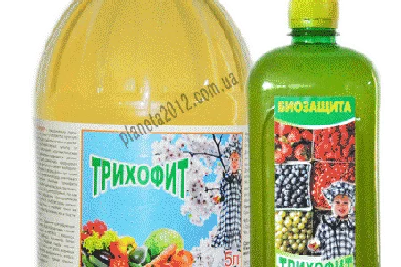 Трихофіт біофунгіцид продаємо оптом від виробника
