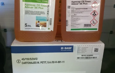 Адексар СЕ Плюс - фунгицидная защита зерновых культур от комплекса болезней