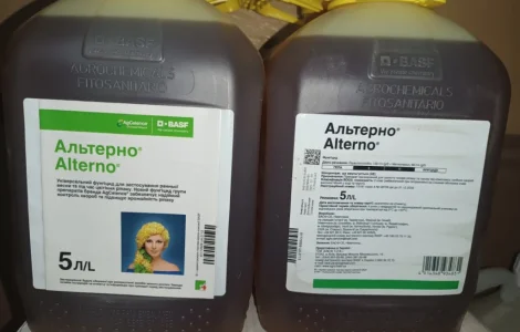 Альтерно - надежный контроль болезней и повышение урожайности рапса