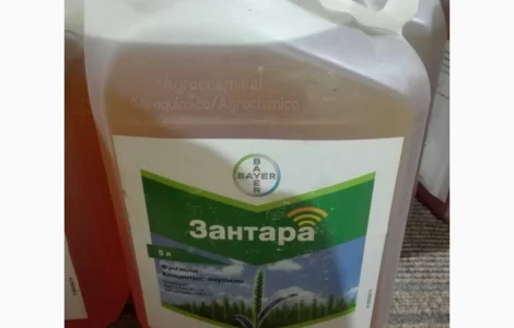 Зантара - системний фунгіцид для захисту пшениці та ячменю