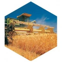 Імпера Голд - фунгіцид від хвороб, що вражають стебло, листя та колос зернових культур