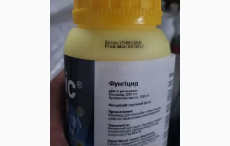 Колліс КС - фунгіцид для захисту винограду від оїдіуму та гнилі