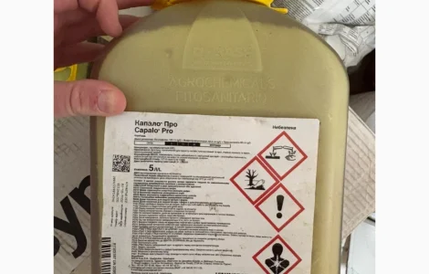 Колосаль - Системный фунгицид для борьбы с болезнями зерновых культур, сои, рапса, риса