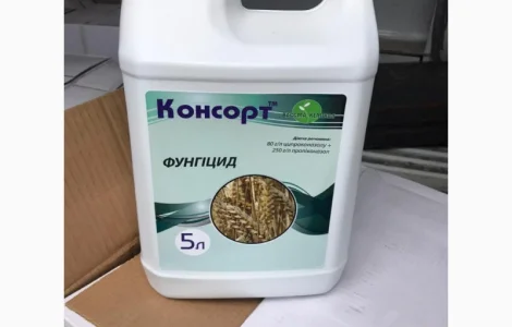 Консорт - Фунгіцид для профілактики і для лікування хвороб листя, стебел, колоса