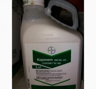 Коронет - Ефективний фунгіцид для захисту соняшнику