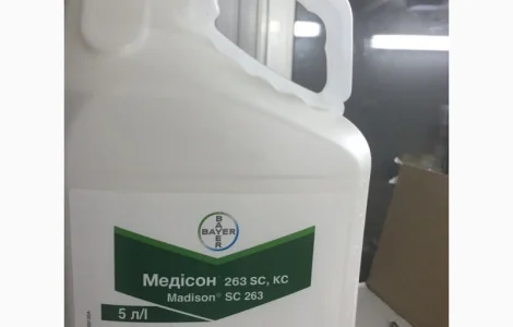 Медісон - фунгіцид для захисту зернових та цукрових буряків від захворювань