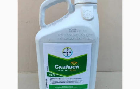 Скайвей Xpro - надійний захист пшениці і ячменю від комплексу грибкових хвороб