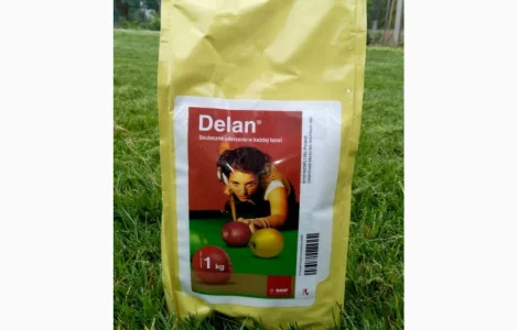 Delan 700 WG (Делан) 1кг - фунгіцид універсальної контактної дії (Польща)