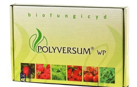 Polyversum WP (Поливерсум) 50 г - біологічний фунгіцид (Польща)