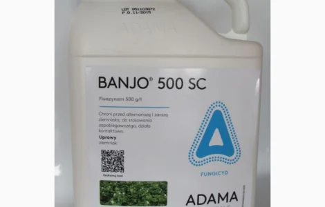 Banjo 500 sc (Банджо) 1л - контактный фунгицид для защиты картофеля, томатов и лука