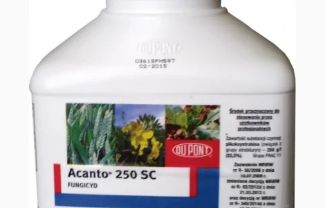 Acanto 250 SC (Аканто) 1л - фунгіцид для захисту кукурудзи і соняшнику (Польща)