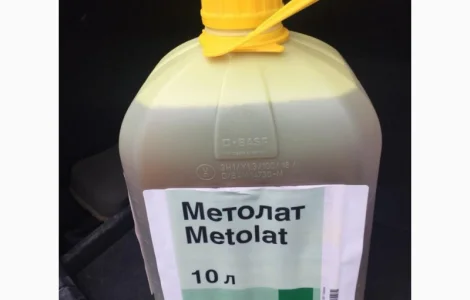 Метолат - эффективный прилипач для сельского хозяйства