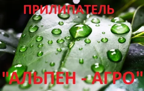 Прилипатель