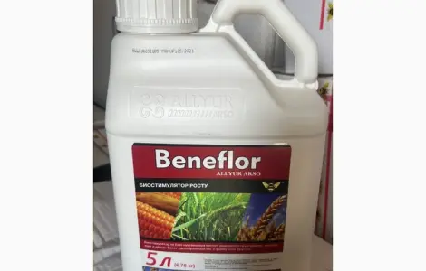 Бенефлор (Beneflor) - Биостимулятор плодовых и ягодных культур