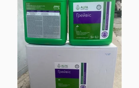 Грейвіс - регулятор росту та системний фунгіцид-ретардант для ріпаку