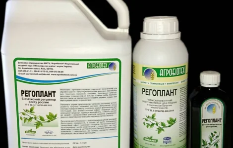 Регоплант - Новий біостимулятор рослин для обробки насіння