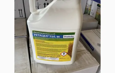 Ретацел 750 - Регулятор роста - защита зерновых от полегания и рапса от перерастания