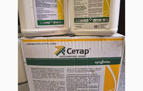 Сетар - Фунгіцид і регулятор росту для захисту ріпаку від хвороб і надійної переземівлі