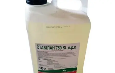 Стабилан - регулятор роста культур: пшеницы озимой и яровой