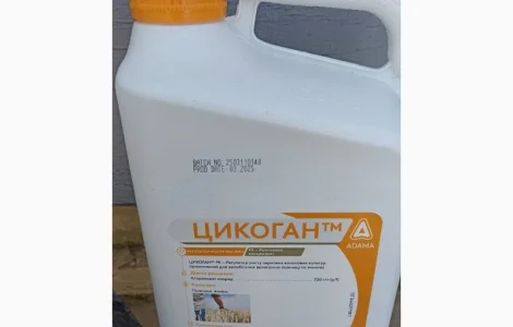 Цикоган - регулятор росту зернових колосових культур
