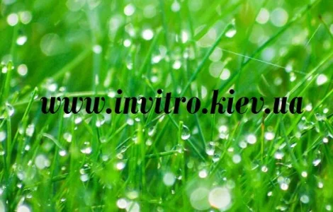 Продам абсцизовую кислоту (ABA