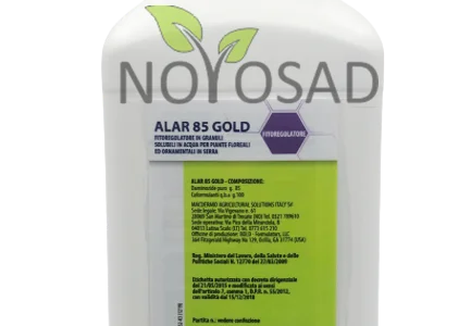 Alar 85 Gold (Алар) 1кг – регулятор роста для хризантем