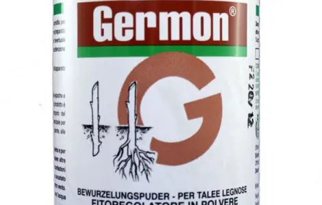 Germon 75% (Жермон) 100г - стимулятор росту для укорінення живців деревних порід