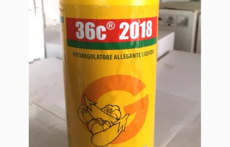 Регулятор роста 36С TIPO B (тип Б) 1л – для завязи плодов (Италия)