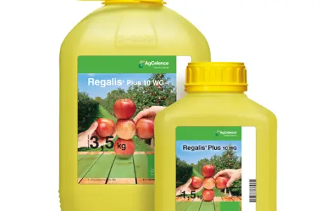 REGALIS PLUS 10 WG (Регалис Плюс) 1