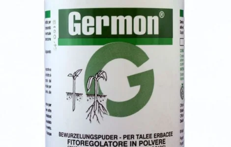 Germon 50% (Жермон) 100г – стимулятор росту для черенків