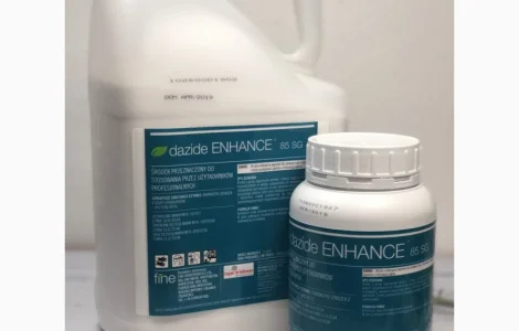 Dazide 85 SG (Дазиде) 500г – регулятор роста для хризантем