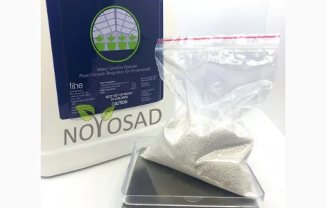 Dazide 85 WSG (Дазиде) 100г – регулятор роста для хризантем на развес