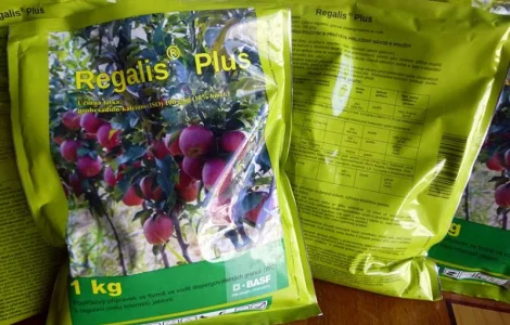 Регалис современный регулятор роста садовых растений