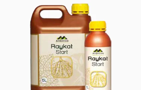 Райкат старт