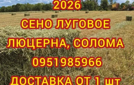 Сено сіно солома для декора, декорации, фотосессии в тюках мешках