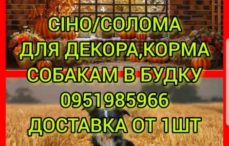 Сено солома для фотосессии декора в тюках мешках с доставкой от 1шт
