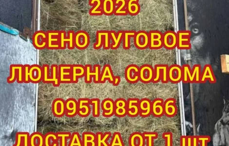 Сено в тюках для лошадей, крс, овец. Есть луговое и люцерна. Доставка бесплатная