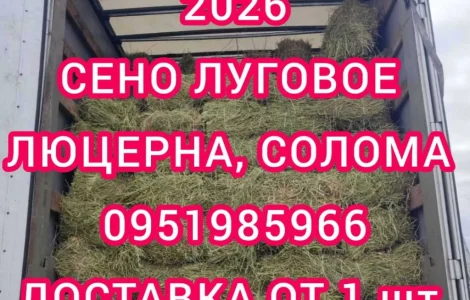 Хозяйство пропонує сіно лугове, солому, люцерну, солому з доставкою по Україні