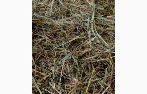 Сіно в тюках лугове, люцерна