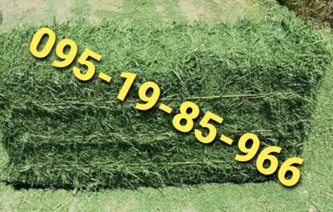 Сено в тюках з безкоштовною доставкою. Відмінна якість