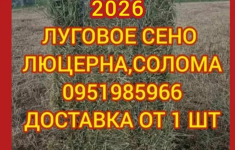 Сено в тюках. Доставка входит в стоимость. Отличное качество