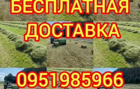 Б.н. расчёт, большие объёмы, доставка по Украине. Луговое сено, люцерна, солома
