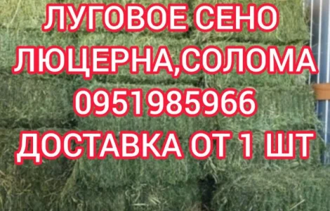 Б.н. розрахунок, великі обсяги, доставка по Україні. Лугове сіно, люцерна, солома