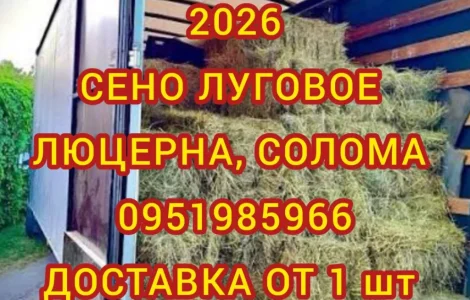 Лугове сіно. Люцерна в тюках. Доставка. Б/н