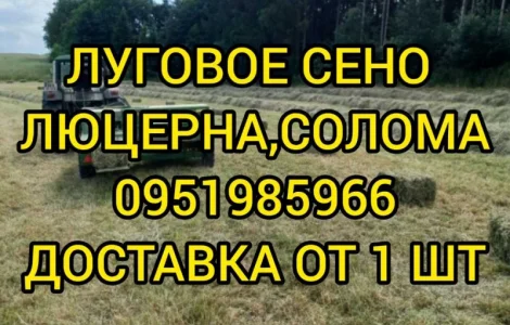Сіно лугове, люцерна, солома. Доставка входить у вартість