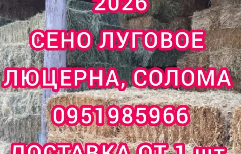 Продам ЛУГОВЕ сіно і ЛЮЦЕРНУ в тюках з доставкою по Україні