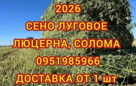 Продам лугове сіно і люцерну в тюках. Привіз на дім входить у вартість