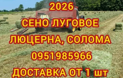 В наявності 300 тонн сіна люцерни. Безкоштовна доставка