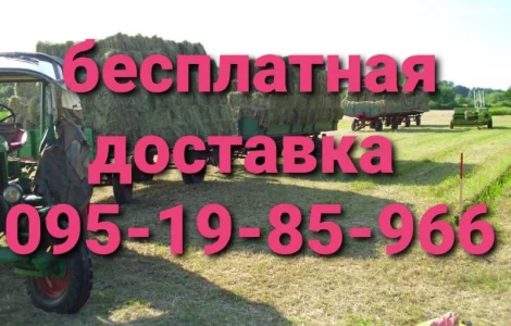 Продам сено люцерны, луговое в тюках. Большой объём. Доставка бесплатная